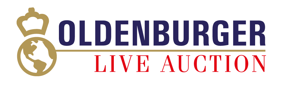Logo AuctioNovo Live-Auktion
